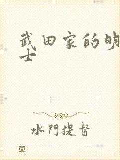 武田家的明国武士