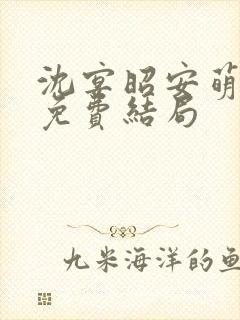 沈宴昭安萌全文免费结局