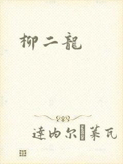 柳二龙
