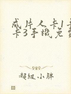 成片人卡1卡2卡3手机免费看