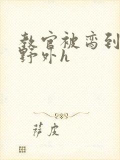 教官被脔到高潮野外h