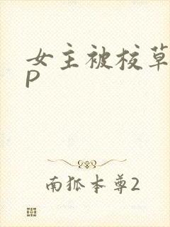 女主被校草们NP