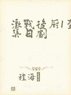 激战后厨1至5集日剧