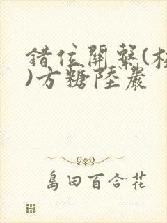 错位关系(校园)方糖陆岩