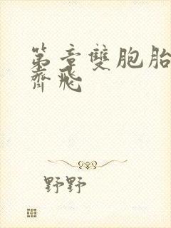 第章双胞胎姐妹齐飞