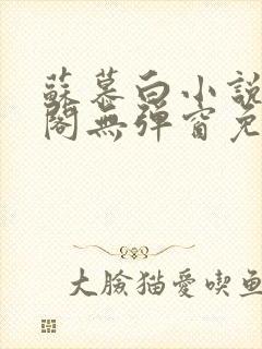 苏慕白小说笔趣阁无弹窗免费阅读