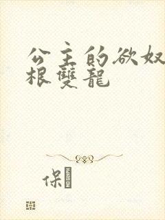 公主的欲奴h四根双龙