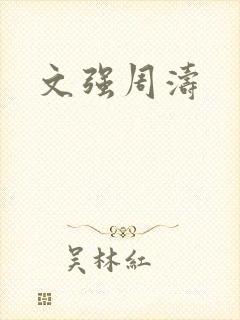 文强周涛