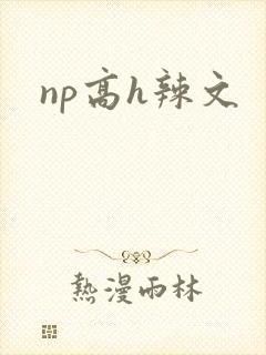np高h辣文