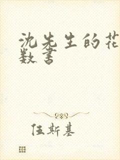 沈先生的花式调数书