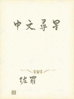 中文寻星