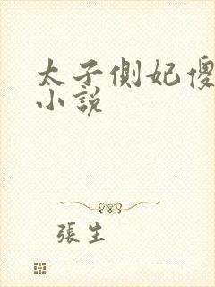 太子侧妃傻乎乎小说