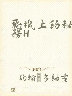 飞机上的秘密服务H