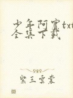 少年阿宾txt全集下载