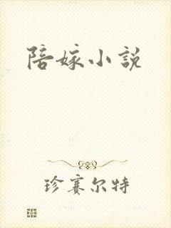 陪嫁小说