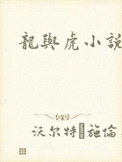龙与虎小说
