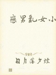 恋男乱女小说