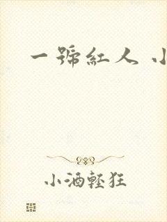 一号红人 小说