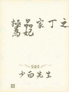 极品家丁之册母为妃