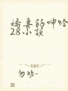 娇妻的呻吟1—28小说