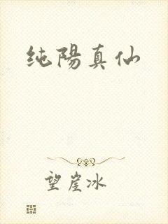 纯阳真仙