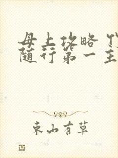 母上攻略 竹影随行第一主板