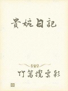 贵婉日记