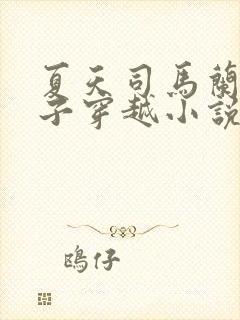 夏天司马兰九皇子穿越小说笔趣阁