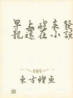 早上醒来发现巨龙还在小说