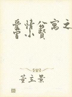 爱情公寓之极品曾小贤