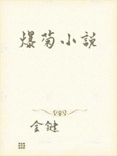 爆菊小说