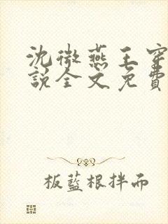 沈微燕王穿越小说全文免费阅读