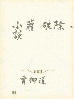 小萝 破除 小说