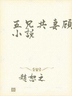 五兄共妻顾心儿小说
