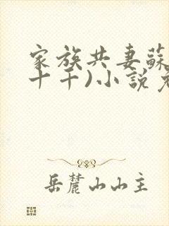 家族共妻苏苏(十千)小说免费