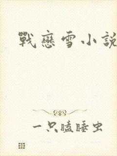 战恋雪小说