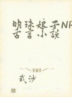 明珠娘子NPC古言小说