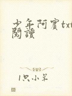 少年阿宾txt阅读