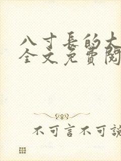 八寸长的大宝贝全文免费阅读