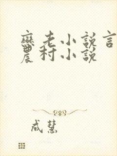 恋老小说言情网农村小说