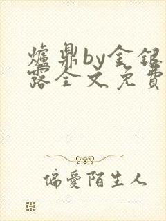 炉鼎by金银花露全文免费阅读笔趣阁