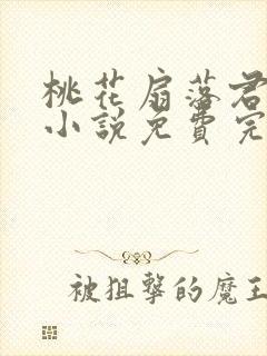 桃花扇落君不还小说免费完整版