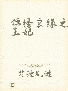 锦绣良缘之北地王妃