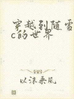 穿越到随处可以c的世界