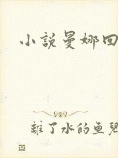 小说曼娜回忆录