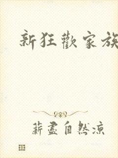 新狂欢家族小说