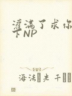 灌满了求你们停下NP