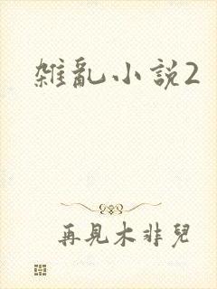 杂乱小说2