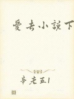 爱去小说下载网