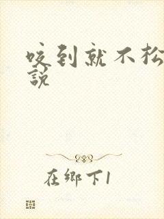 咬到就不松口小说